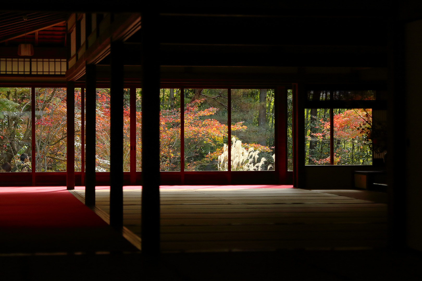 紅葉など_a0003166_9152592.jpg