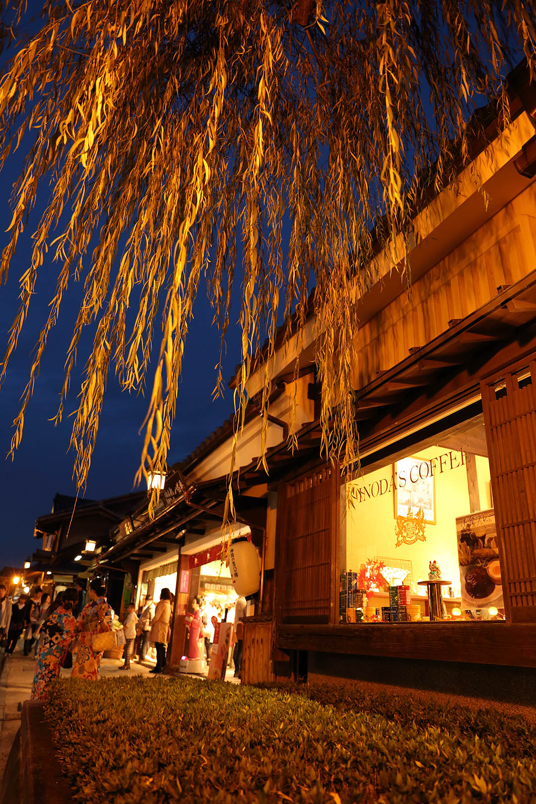 紅葉など_a0003166_9152842.jpg