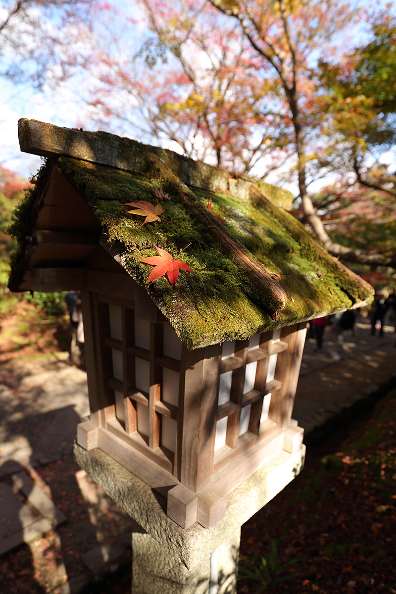 紅葉 （常寂光寺）_a0003166_9384376.jpg
