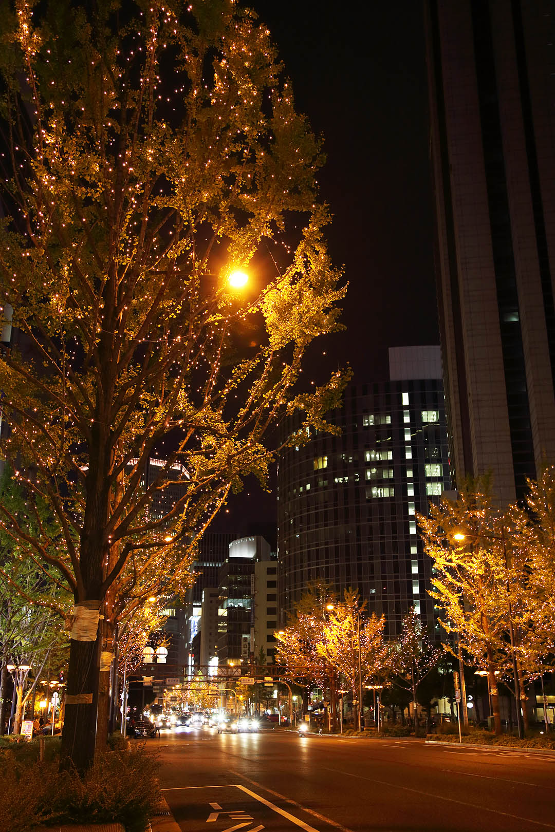 御堂筋_a0003166_94995.jpg