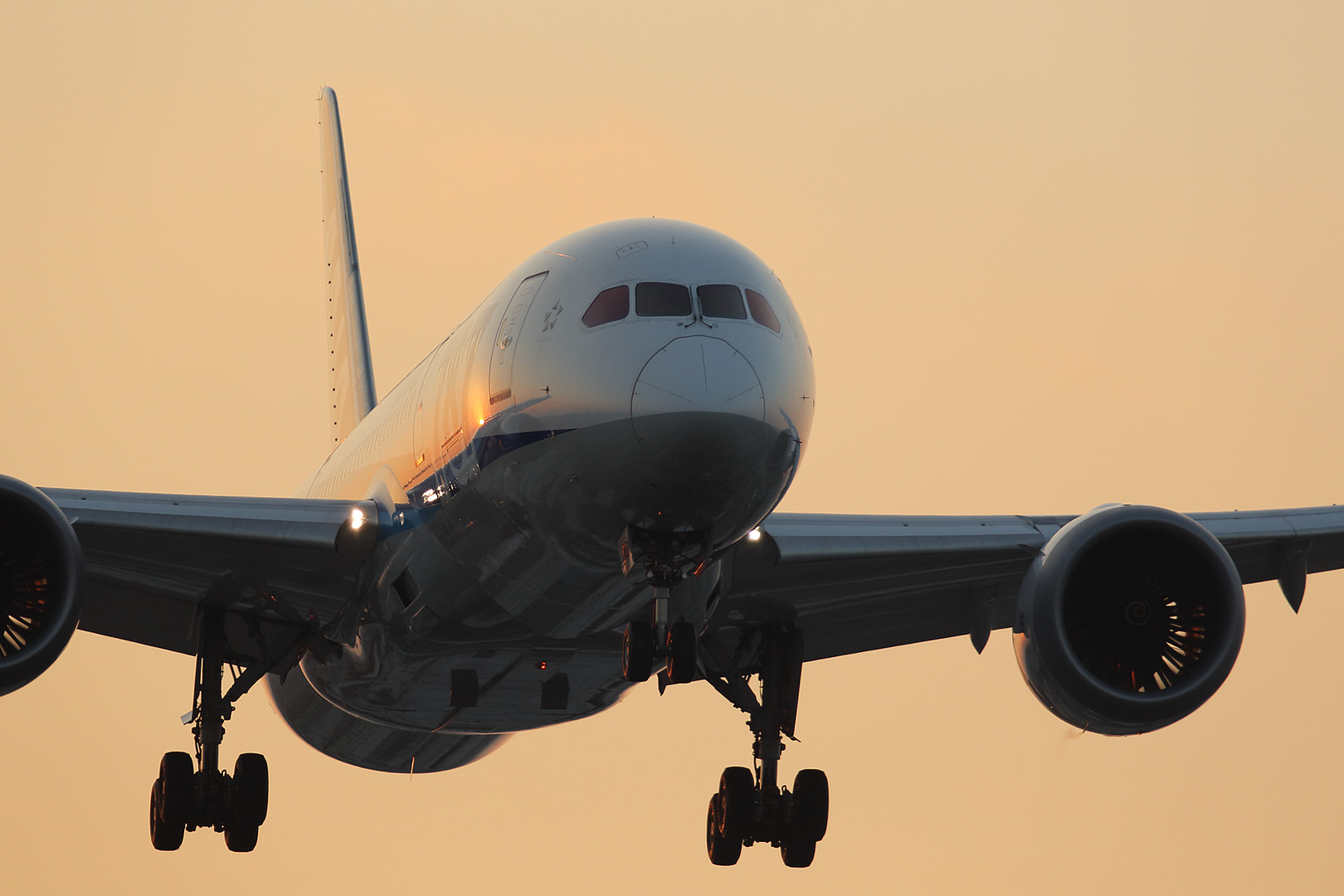 朝焼け Ｂ７８７ （伊丹空港 千里川）_a0003166_9523147.jpg